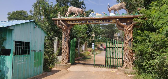 pillalamarri mini zoo park entrance