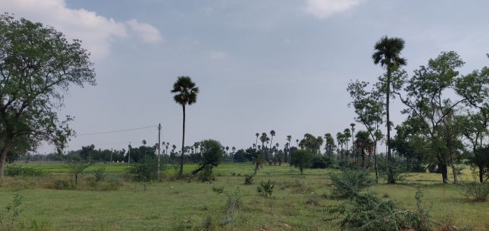 Khilla ghanpur route