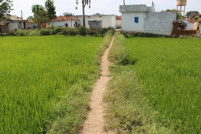 path to village